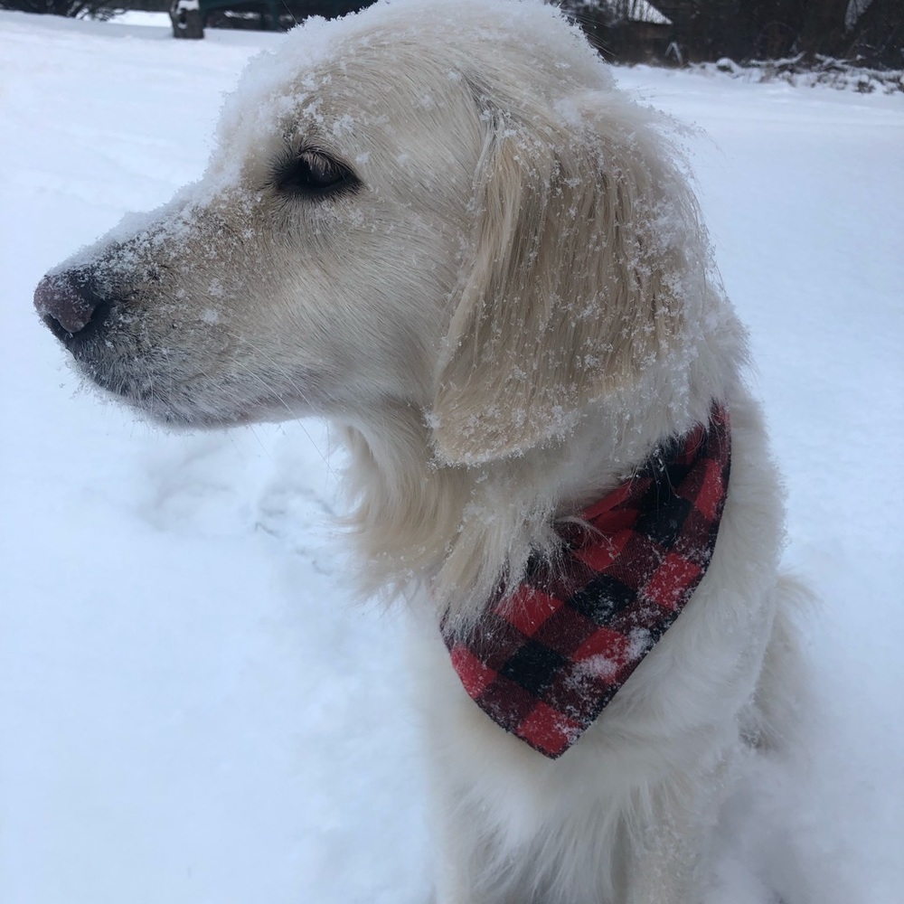 Meet your Posher, Derrik